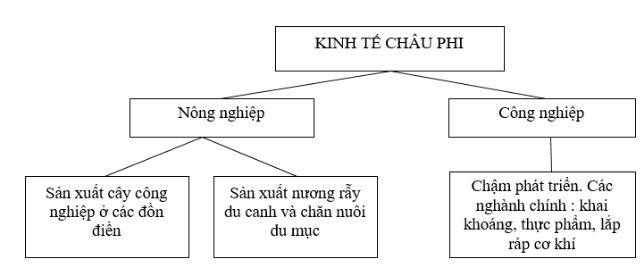 bài tập địa lý