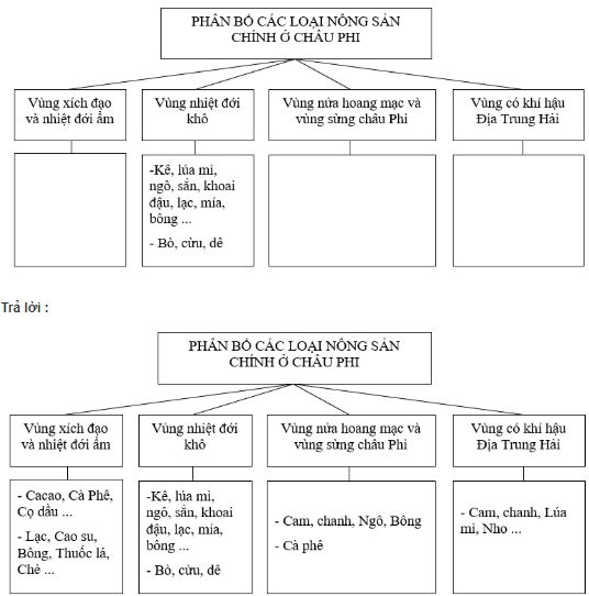 bài tập địa lý