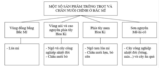bài tập địa lý