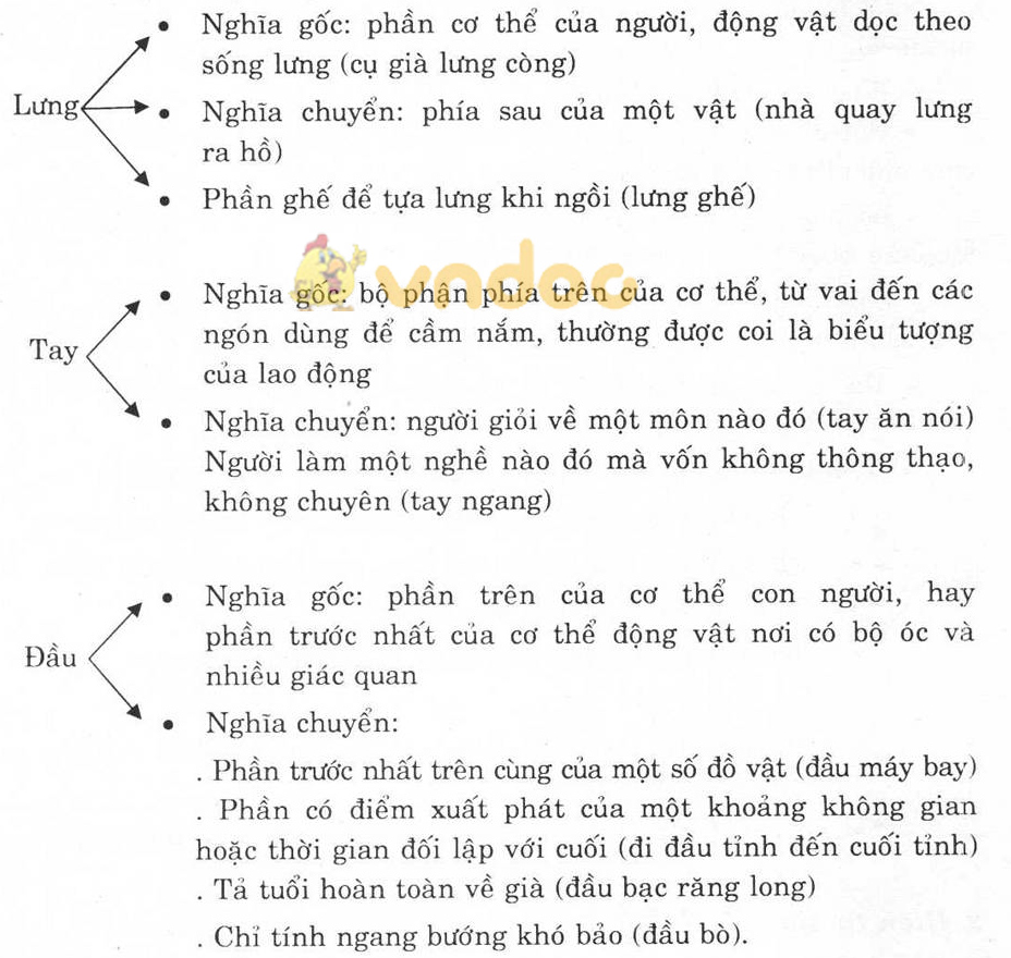 Giải bài tập Ngữ văn lớp 6 bài 5: Từ nhiều nghĩa và hiện tượng chuyển nghĩa của từ