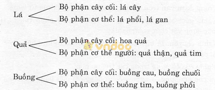Giải bài tập Ngữ văn lớp 6 bài 5: Từ nhiều nghĩa và hiện tượng chuyển nghĩa của từ