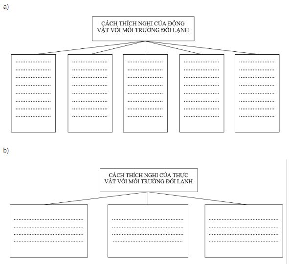 bài tập địa lý