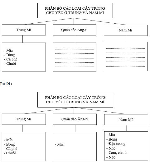 Bài tập địa lý