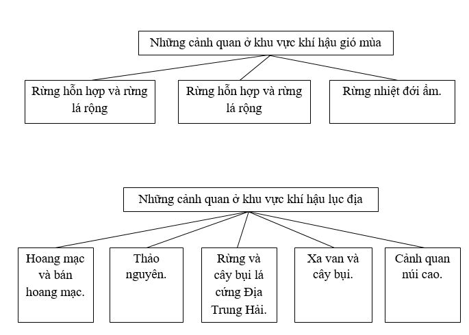 Bài tập địa lý