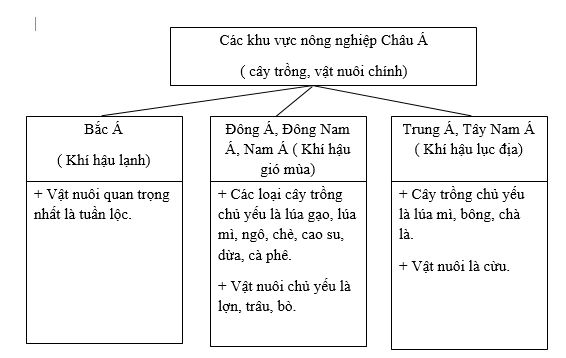 Bài tập địa lý