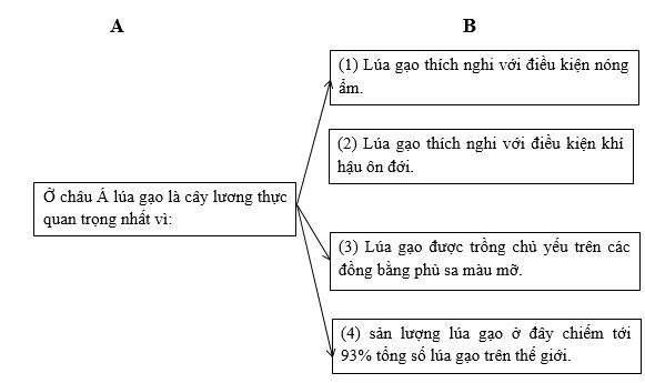Bài tập địa lý