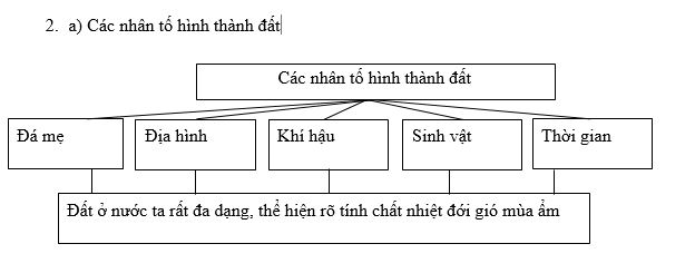 Giải bài tập SBT Địa lý 8 bài 36: Đặc điểm đất Việt Nam - Giải bài tập ...