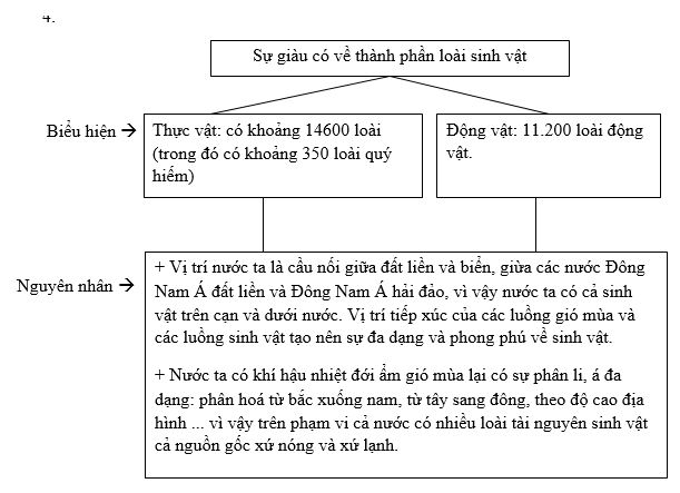 Bài tập địa lý