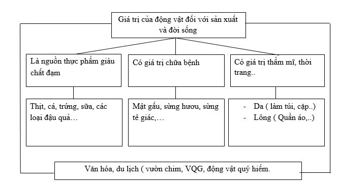 Bài tập địa lý