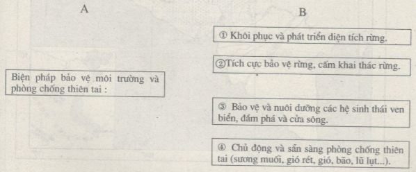 Bài tập địa lý
