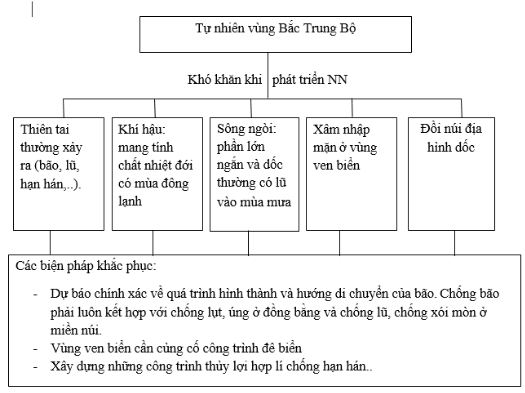 Bài tập địa lý 9