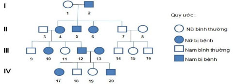 Đề thi học kỳ 1 môn Sinh học lớp 12 