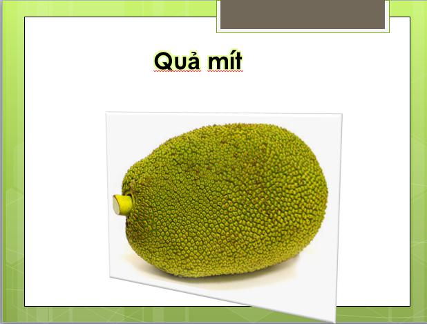 Đề thi học kì 1 môn Tin học lớp 4