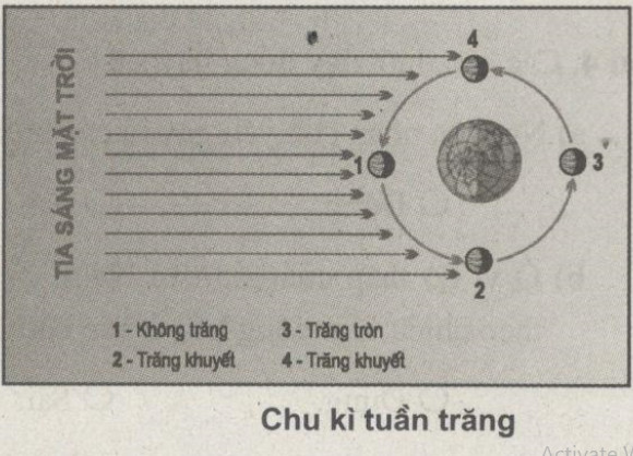 Giải bài tập SBT Địa lý 10 bài 16: Sóng - Thủy triều - Dòng biển
