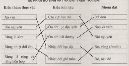 Bài tập địa lý