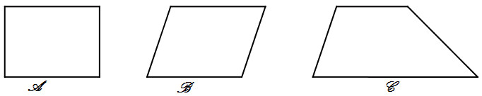 Giải vở bài tập Toán 5