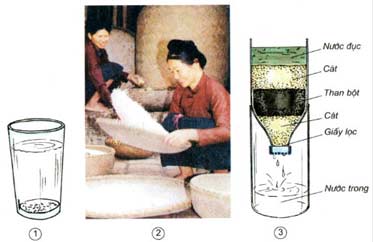 Giải bài tập Khoa học 5