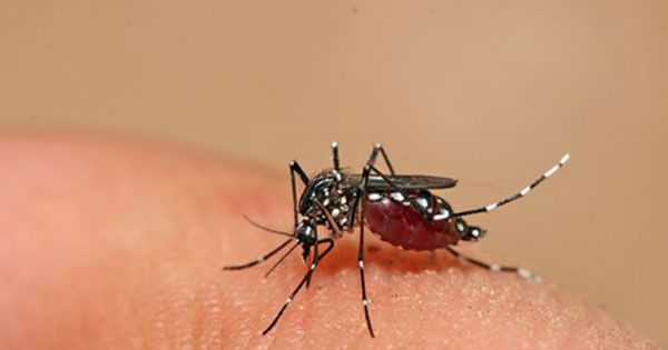 Bài tuyên truyền y tế học đường