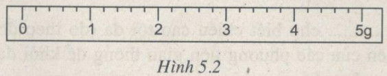 Giải bài tập SBT Vật lý lớp 6 bài 5: Khối lượng. Đo khối lượng