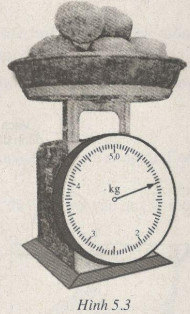 Giải bài tập SBT Vật lý lớp 6 bài 5: Khối lượng. Đo khối lượng
