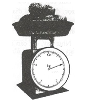 Giải bài tập SBT Vật lý lớp 6 bài 5: Khối lượng. Đo khối lượng