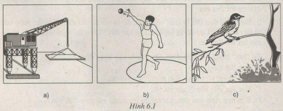 Giải bài tập SBT Vật lý lớp 6 bài 6: Lực. Hai lực cân bằng