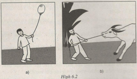 Giải bài tập SBT Vật lý lớp 6 bài 6: Lực. Hai lực cân bằng