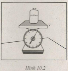 Giải bài tập SBT Vật lý lớp 6 bài 10: Lực kế. Phép đo lực. Trọng lượng và khối lượng