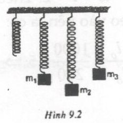Giải bài tập SBT Vật lý lớp 6 bài 9: Lực đàn hồi