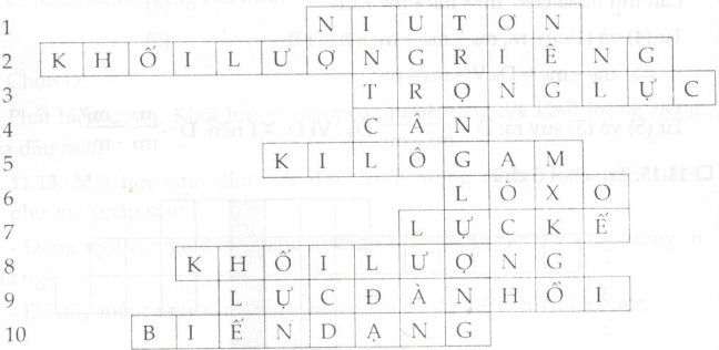 Giải bài tập SBT Vật lý lớp 6 bài 11: Khối lượng riêng - Trọng lượng riêng