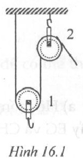 Giải bài tập SBT Vật lý lớp 6 bài 16: Ròng rọc