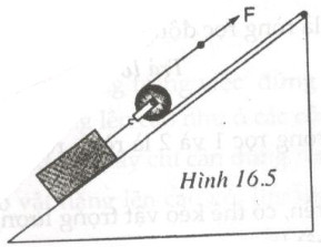 Giải bài tập SBT Vật lý lớp 6 bài 16: Ròng rọc