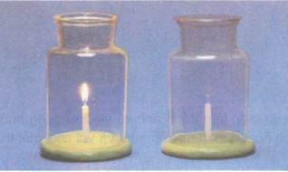 Giải bài tập Khoa học lớp 4