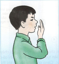 Giải bài tập Khoa học lớp 4