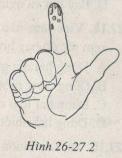 Giải bài tập SBT Vật lý lớp 6 bài 26 - 27: Sự bay hơi và sự ngưng tụ