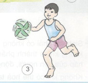 Giải bài tập Khoa học lớp 4