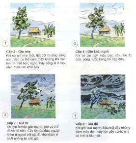 Giải bài tập Khoa học lớp 4