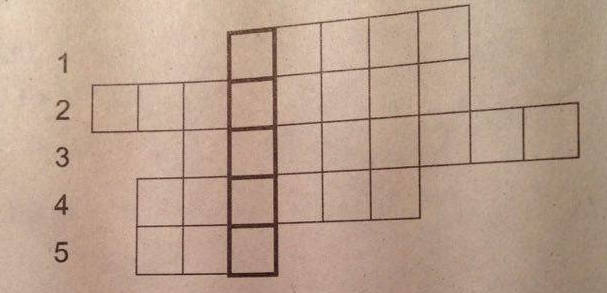 Giải bài tập SBT Vật lý lớp 7 bài 7: Gương cầu lồi