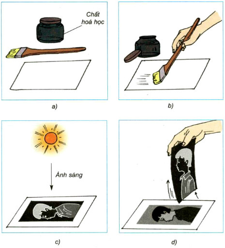 Giải bài tập Khoa học 5