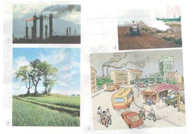 Giải sách giáo khoa khoa học 4