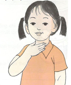 Giải sách giáo khoa khoa học 4