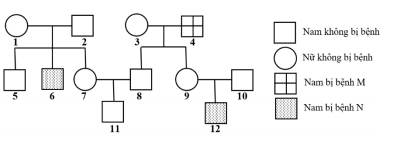 Đề thi minh họa môn sinh