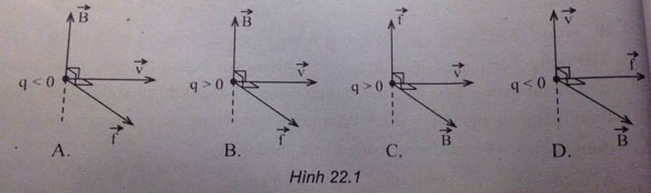 Vật lý 11 bài 22