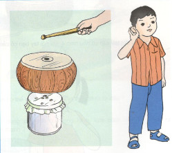 Giải bài tập SGK Khoa học 5