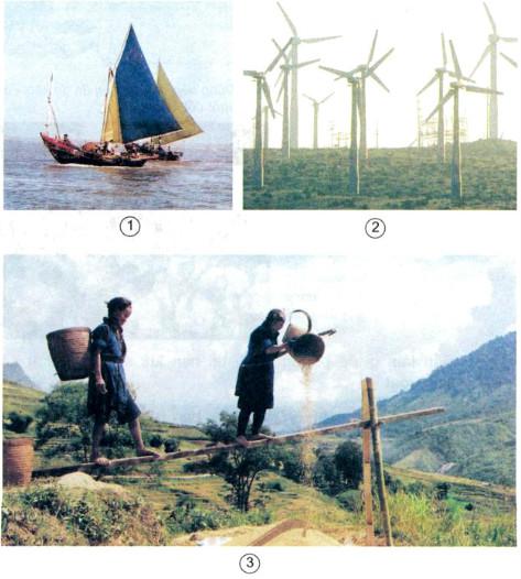 Giải sách giáo khoa khoa học lớp 5