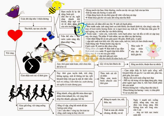 Sơ đồ Tư Duy Vội Vàng Sơ đồ Tư Duy Lớp 11
