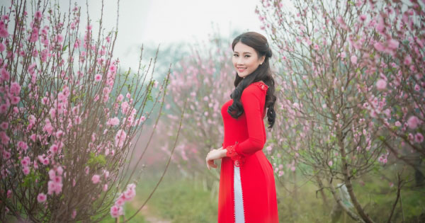 Giáo án Công nghệ 8 bài 36: Vật liệu kĩ thuật điện - Tìm đáp án