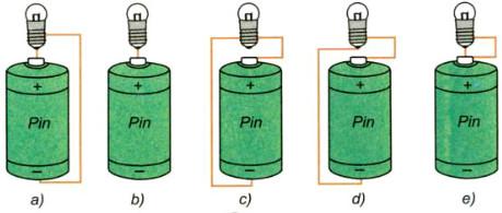 Giải SGK Khoa học 5 tập 2