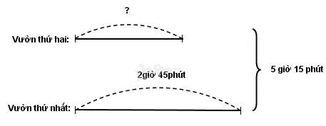 Giải vở bài tập Toán 5