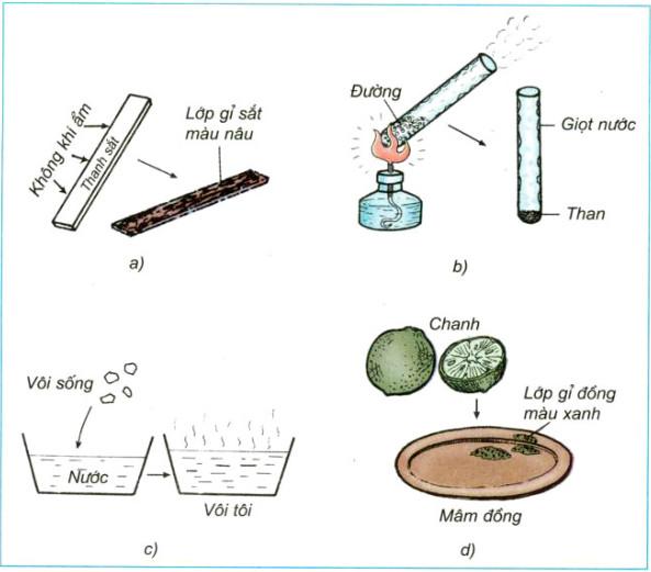 Giải bài tập Khoa học lớp 5